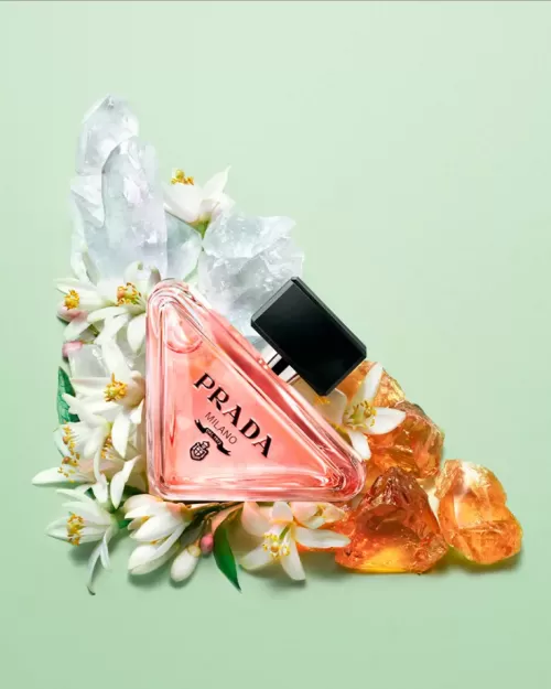 PARADOXE - Perfumes de Importación 